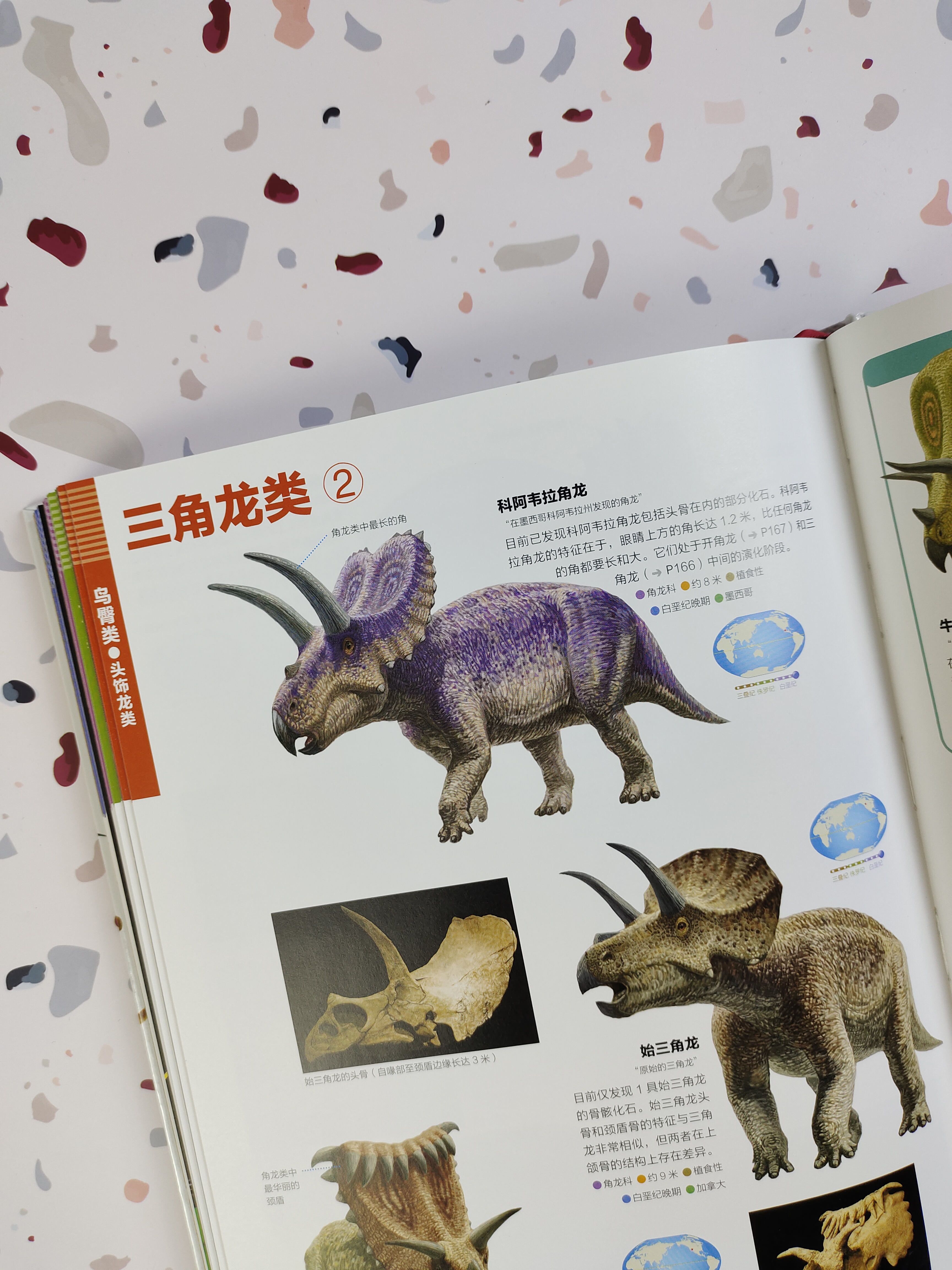 恐龙百科全书恐龙世界的无穷奥秘,世界上最全的恐龙百科全书