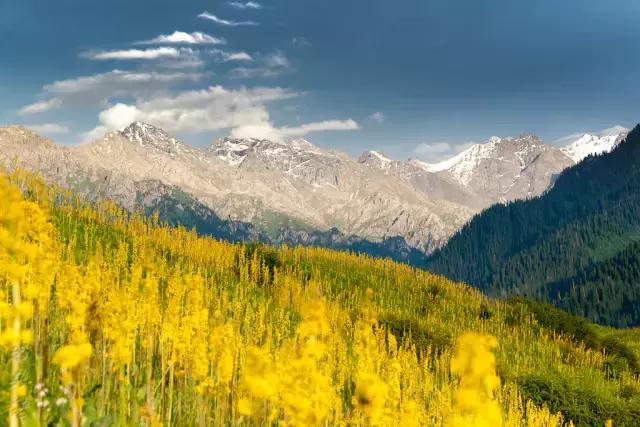 国家认证！*疆新**又一城市成为“中国天然氧吧”，大自然“空调房”就在……