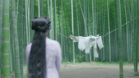 被忽略的言情小说女主,低成本大热网剧女主穿越回古代