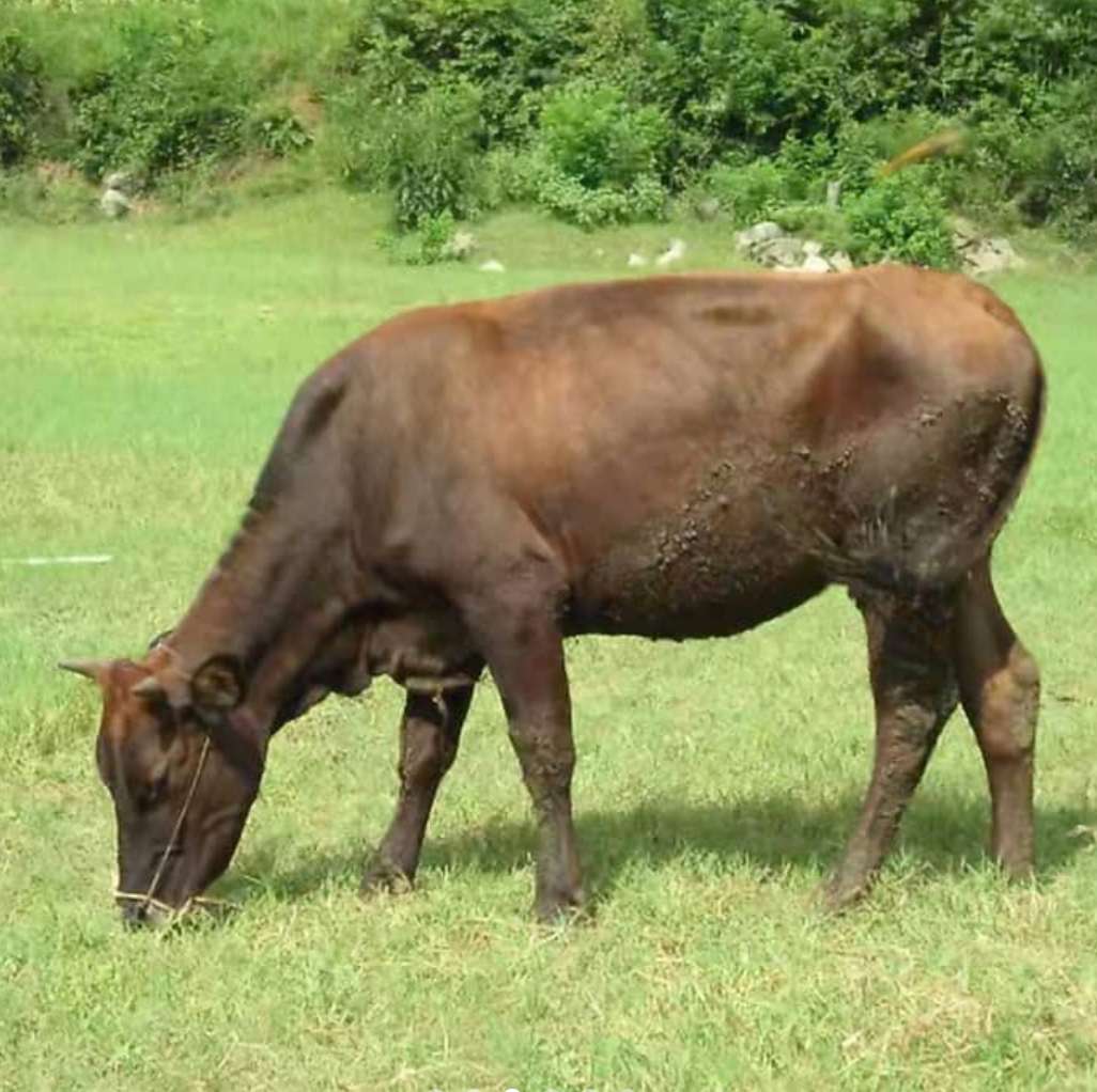 期望薪资是月薪还是年薪,薪资月薪和年薪的区别
