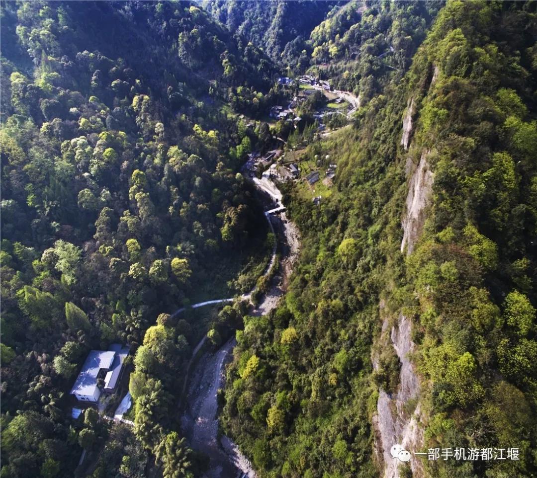 青城山熊猫谷都江堰一日游攻略,熊猫谷青城山都江堰一日游攻略