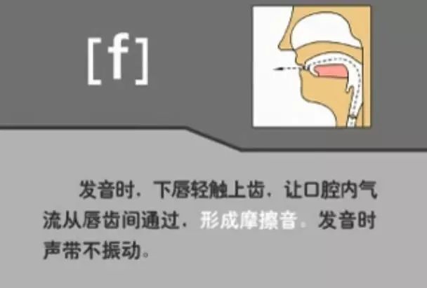 英语音标发音表48个音标正确读法,英语干货48个音标快速记忆法下