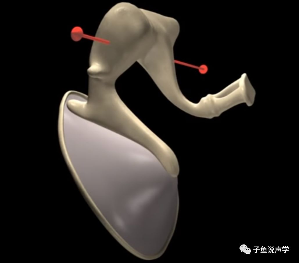 人听到声音的频率如何变化,人是怎么辨别不同频率的声音