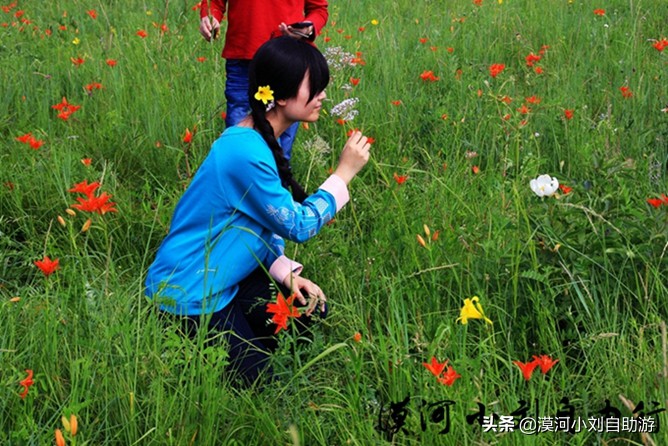漠河呼伦贝尔旅游详细攻略,漠河草原游