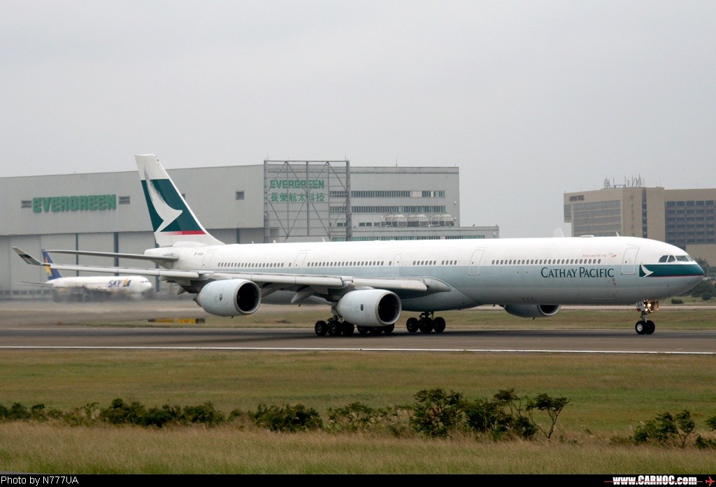 能飞起来的飞机视频,能飞起来的小型航班飞机