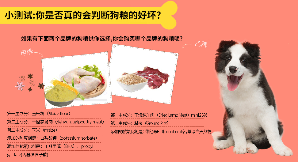 不知道狗狗吃什么狗粮,不知道到底该买哪款狗粮了