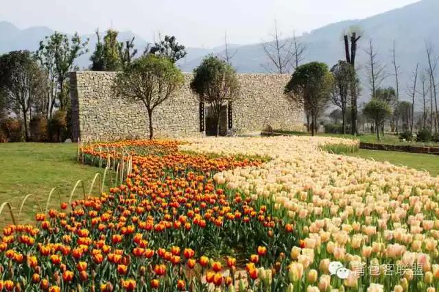 六盘水旅游攻略3天,六盘水旅游攻略美食