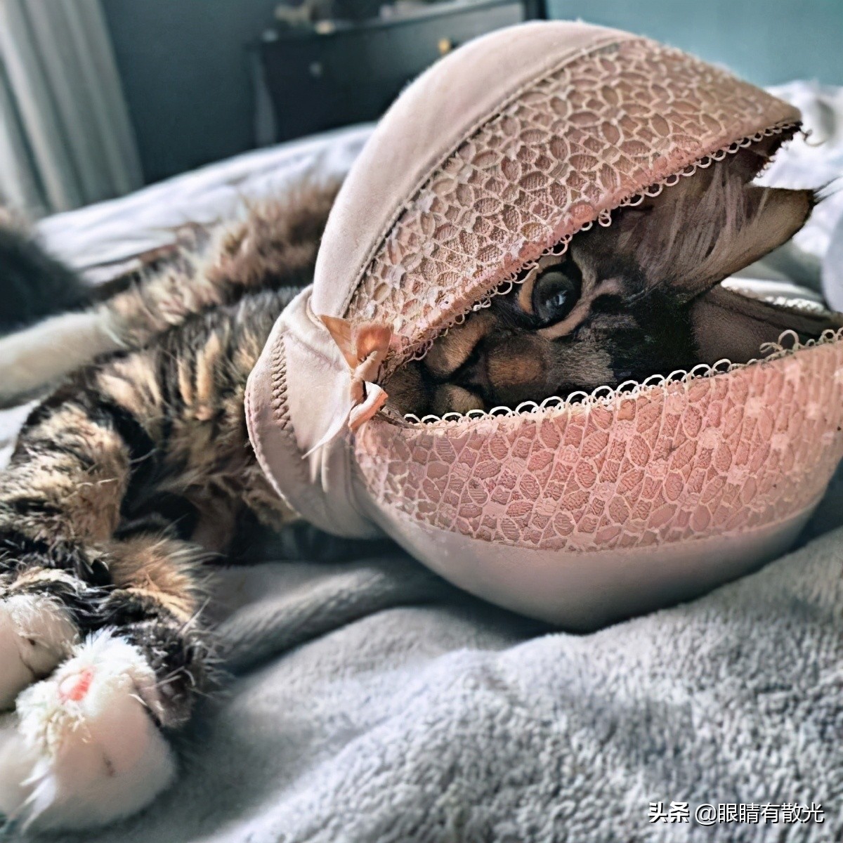 盘点没十年脑血栓问不出来的问题,盘点没有十年脑血干不出来的事