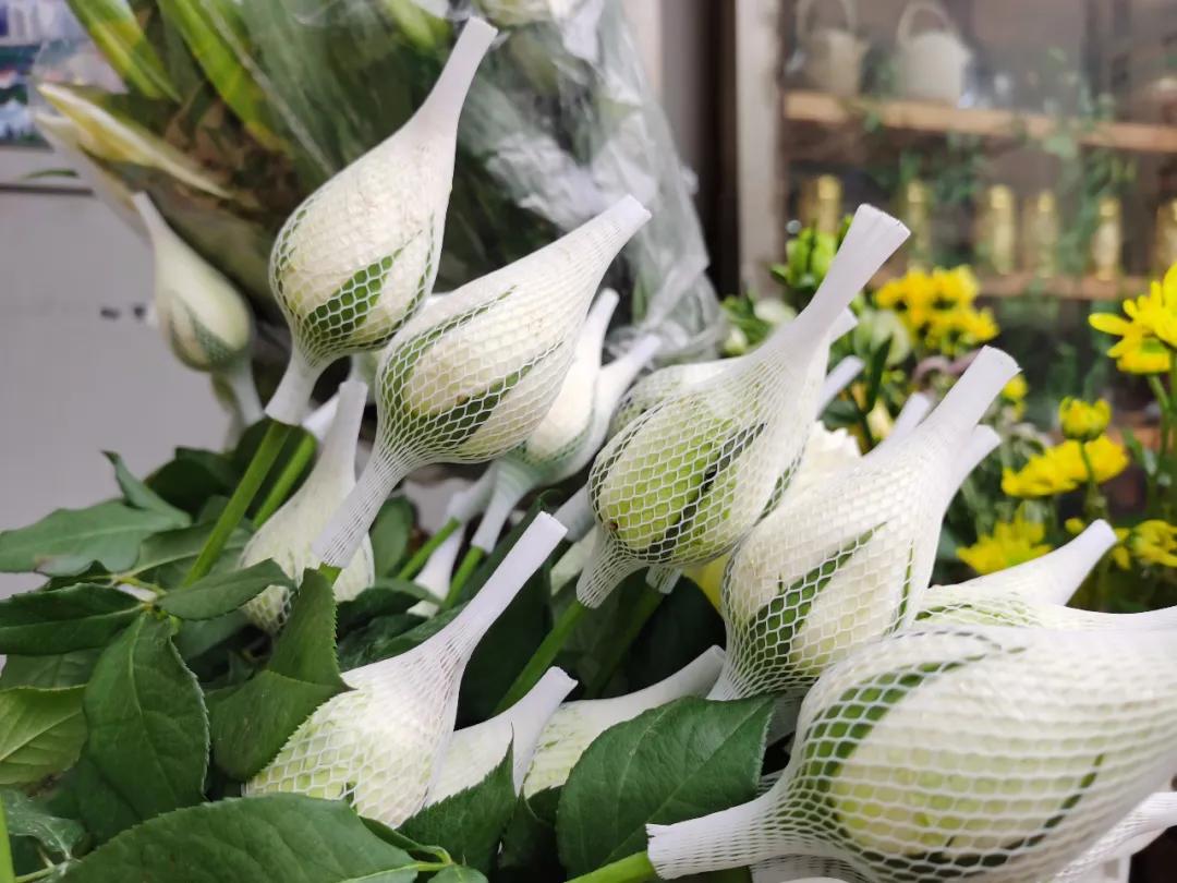 5月岭南花卉市场,红星花卉市场七夕