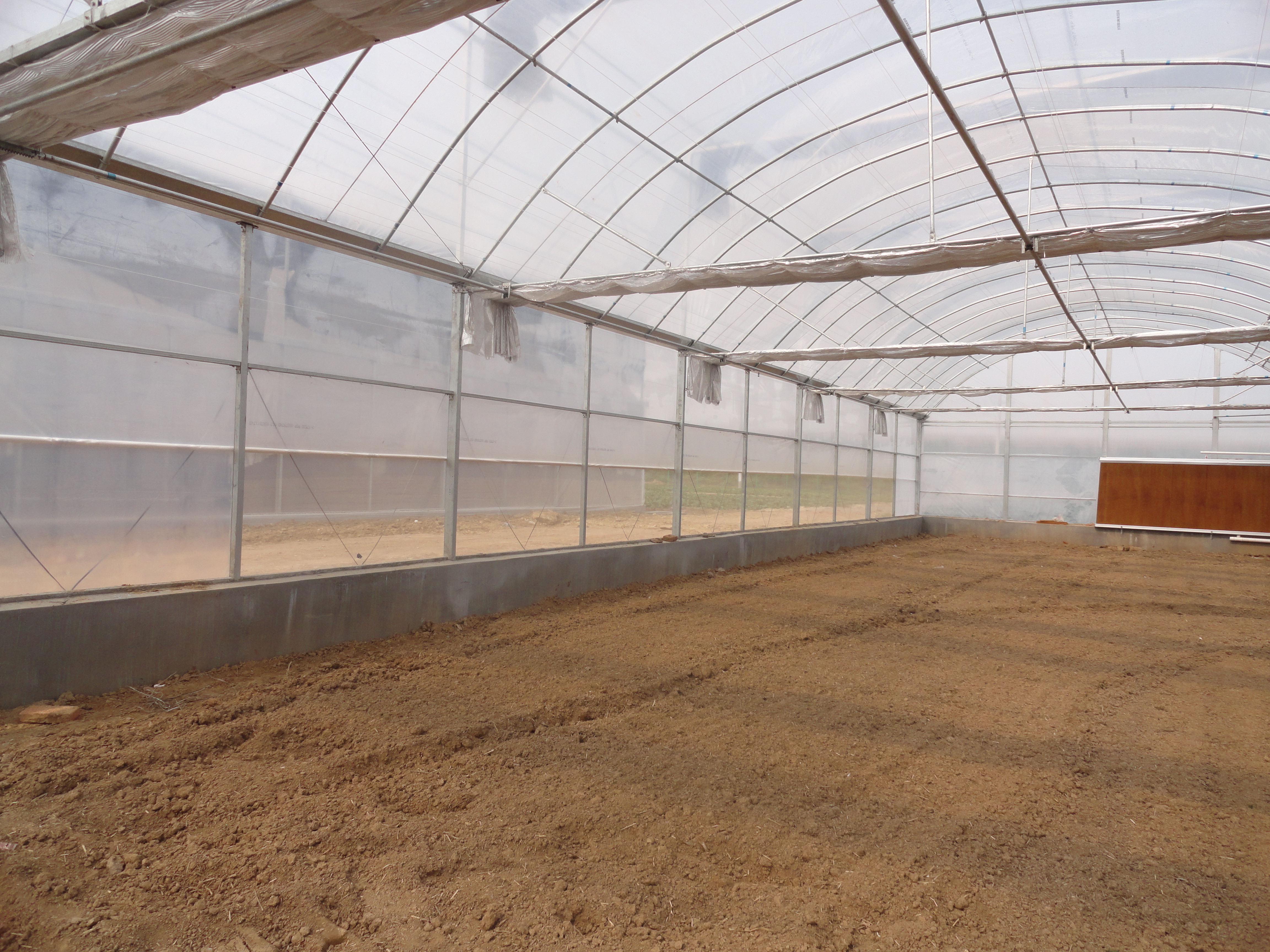 冷棚错峰种植,大冷棚一年四季种植安排