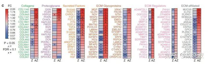 左旋c超强抗氧化剂,超强抗氧化剂木酚素