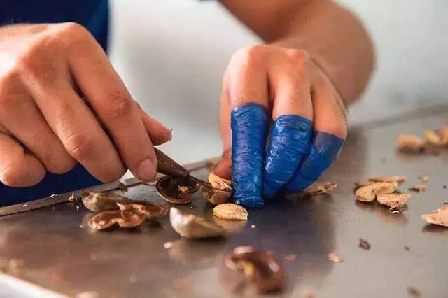 腰果科普知识,腰果哪部分有毒