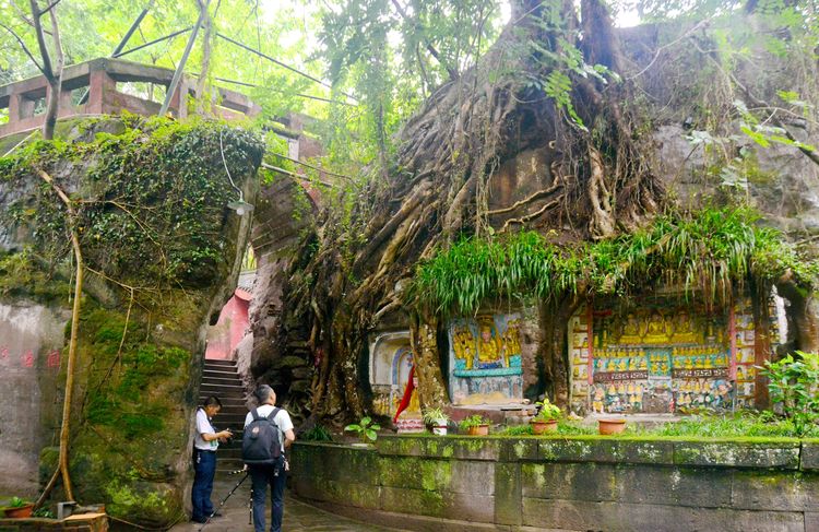 涔愯嚦鑽疯姳鎽勫奖浣滃搧娆ｈ祻,涔愯嚦鍗拌薄鎽勫奖