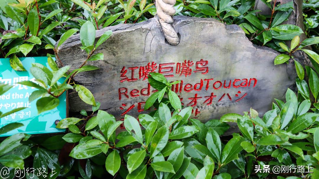 上海野生动物园攻略，一个适合亲子游玩的地方