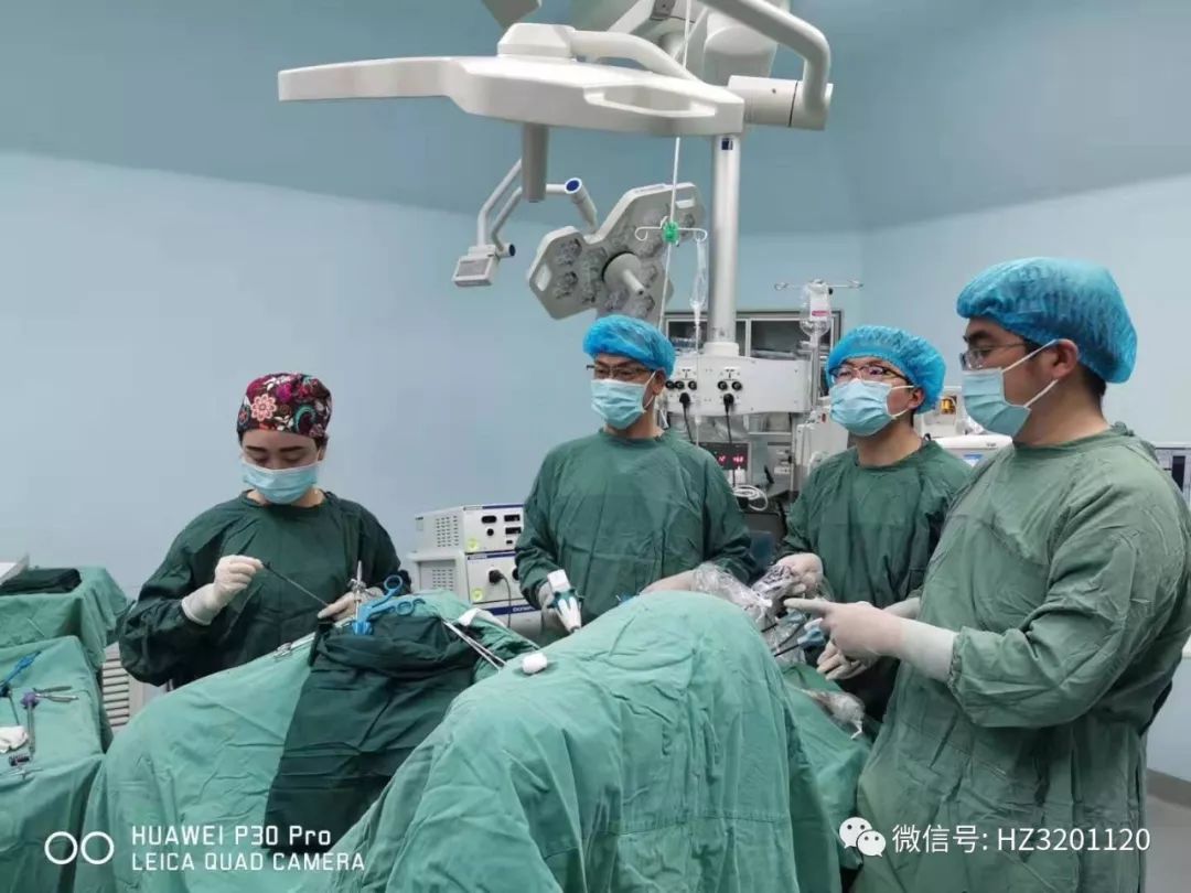 创新升级高质量发展包括什么,创新提升质量