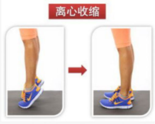 运动员骨头受伤,运动员脚部受伤