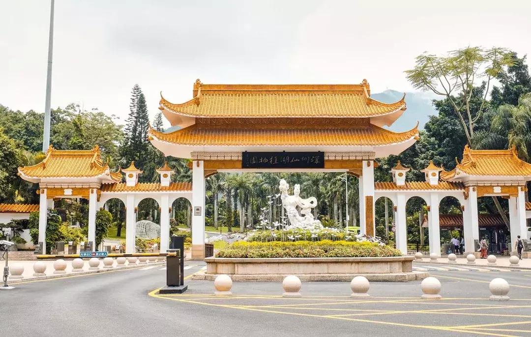 附近莲塘,附近的莲塘