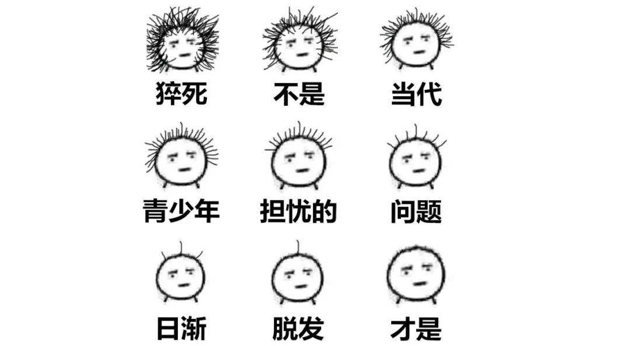 秃发怎么养发,秃发养发过程