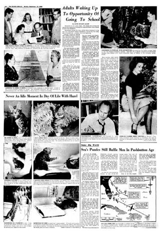 百慕大三角为何被称为魔鬼三角,神秘的百慕大魔鬼三角海域探险