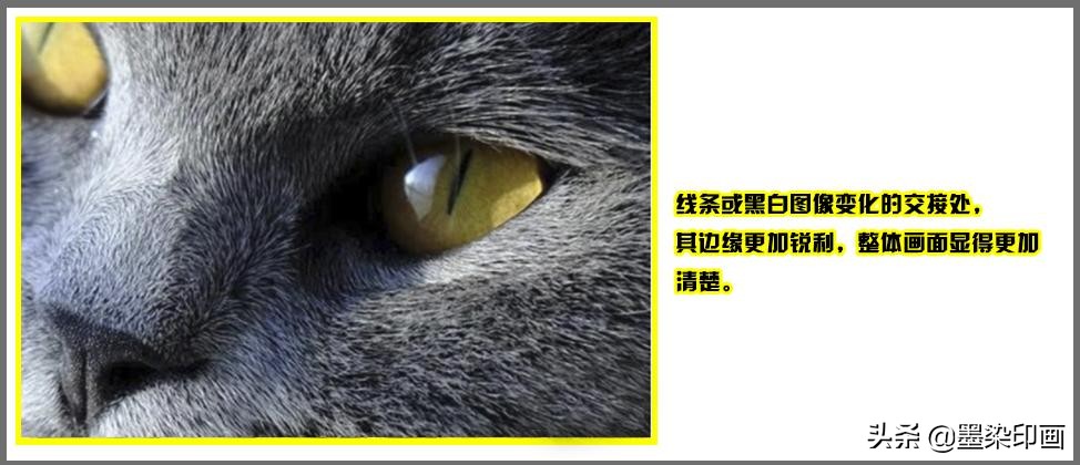 相机拍出来的照片模糊如何调清晰,拍出的照片如何提高清晰度