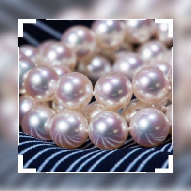 日本海水珍珠akoya等级,akoya珍珠日本官网