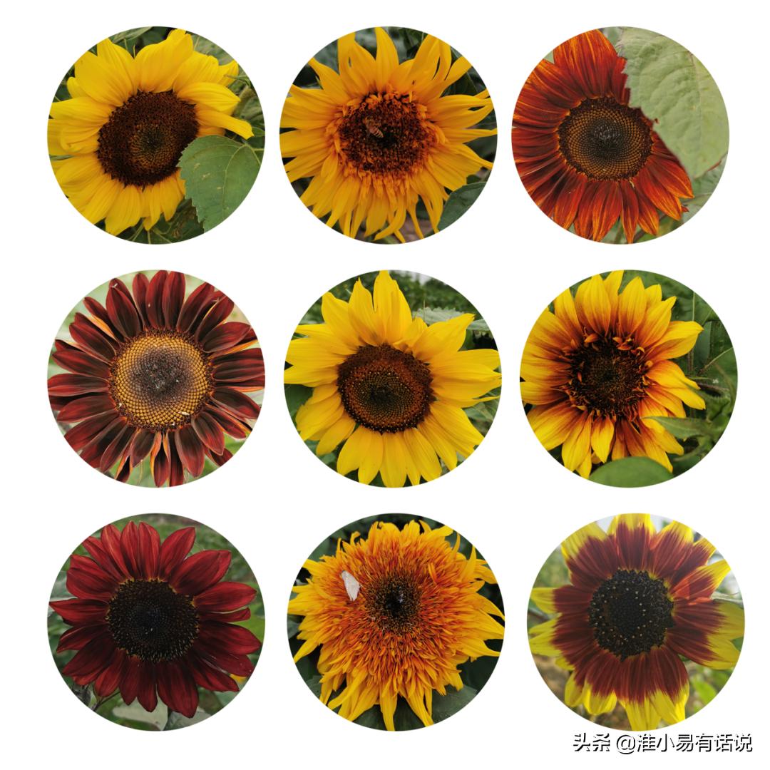 你想要的福利：快乐宝地，美丽倾心！这个便宜你占不占？