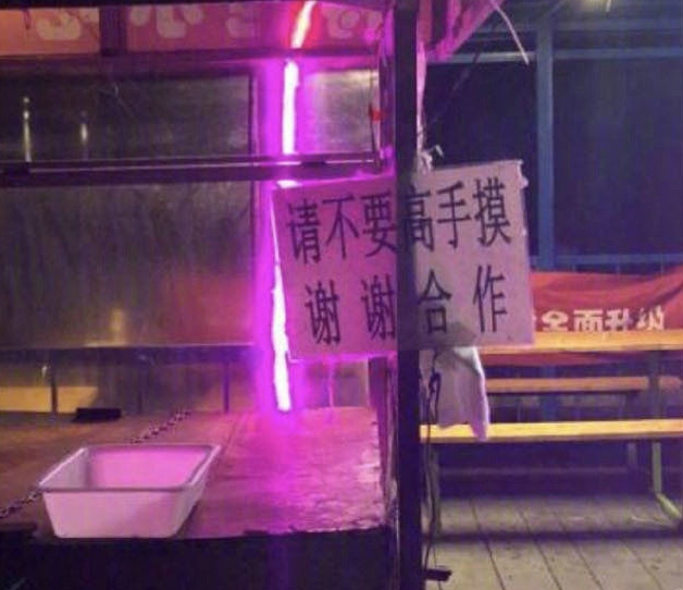 播种一个东北人，就能长出一个家乡