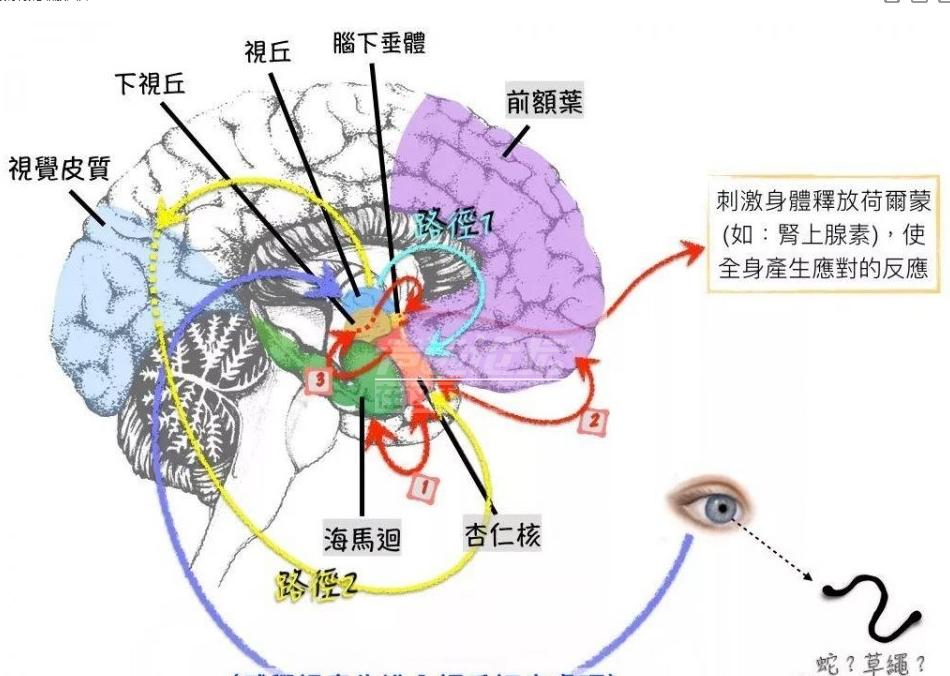 孩子一哭就哄和不哄,孩子一哭怎么哄也不听怎么办