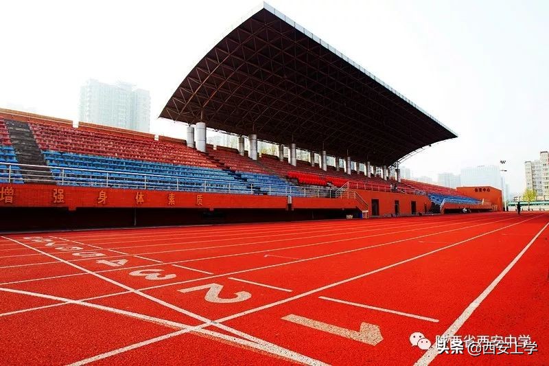 体育特长生西安,西安市体育特长生招生计划2024