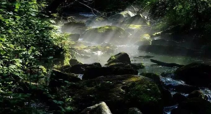 年平均气温25度左右的城市,年平均气温18度城市