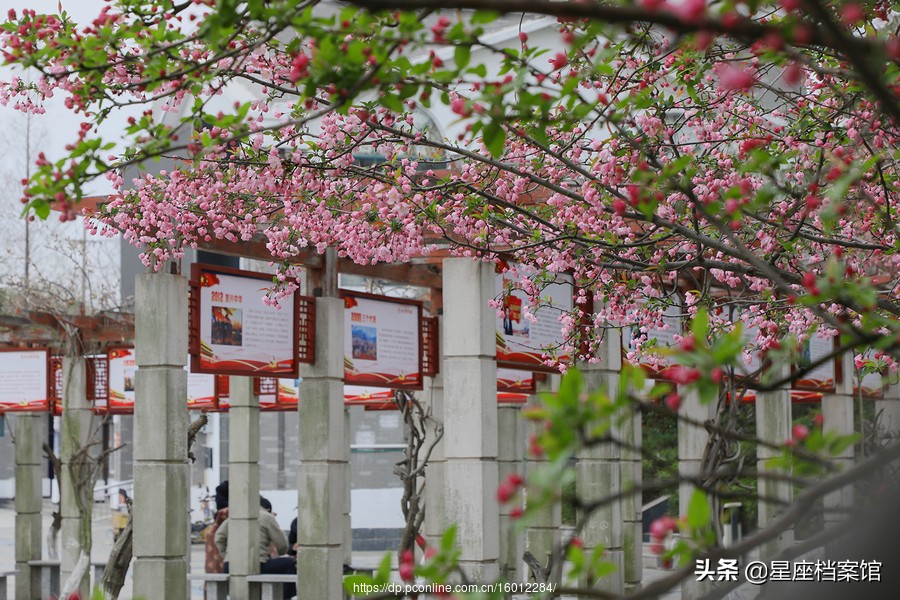 十二星座谁是天生公主呢,12星座的宝藏男孩是什么