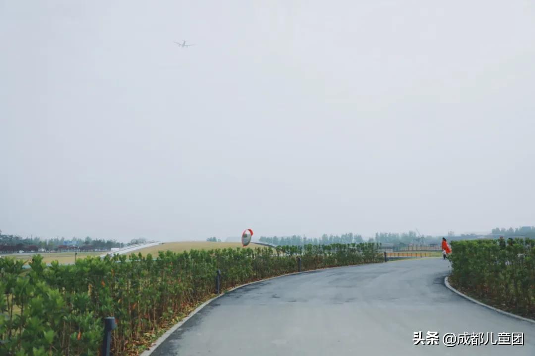 双流空港体育公园看飞机攻略,周末去空港花田