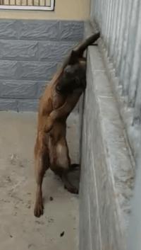 老婆在网上买了件衣服,老婆买了条裙子