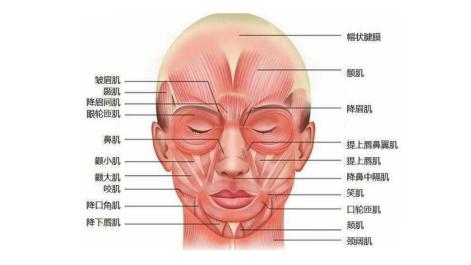 抗衰不再是简单的面部抗衰,抗衰老增加颜值