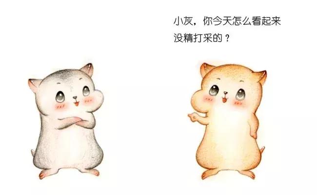 漫画的分界线在哪,中台漫画深度解析