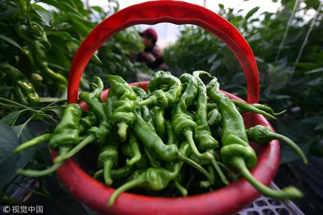 上火的真相,上火了的真实经历