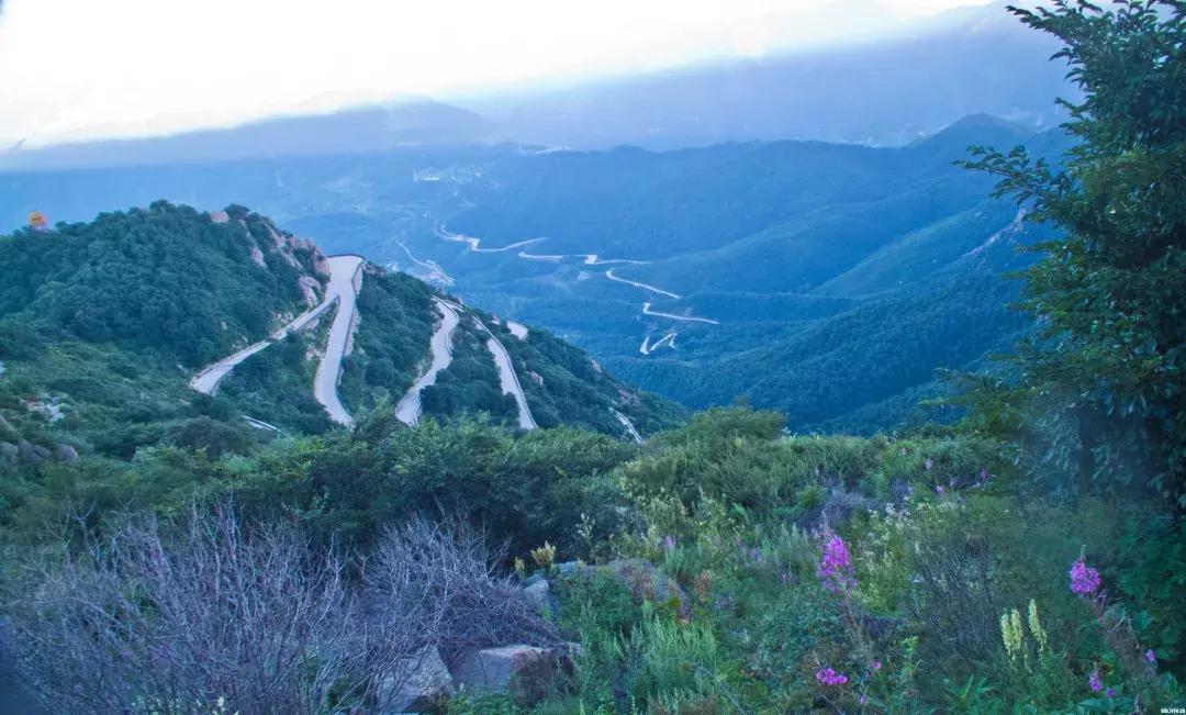 清明去哪儿玩|盘点那些值得打卡的北京周边小众景点！