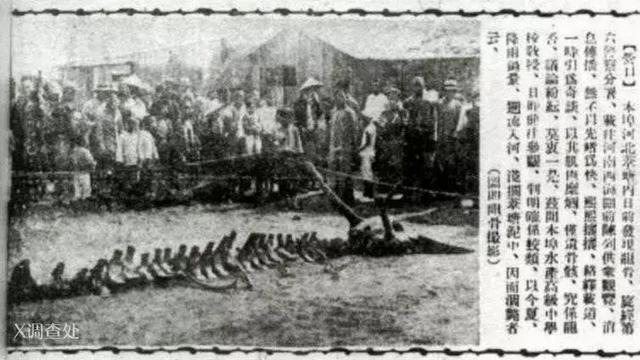 世界凶杀案未解之谜,世界未解之谜秦始皇