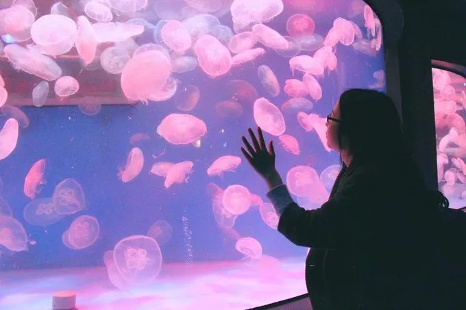 大连回到20年前,大连回到了故乡烟台