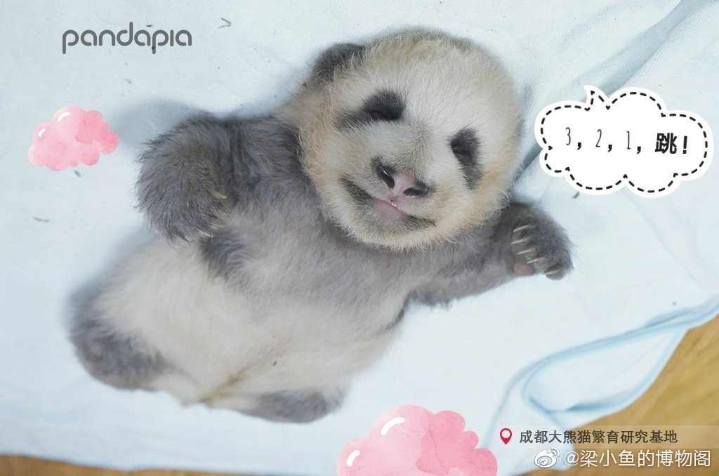 因为你们，“爱豆”的世界离我们不再远咯