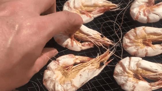 补肾健脾固精的海产品都有哪些呢,温肾固精的食物有哪几种