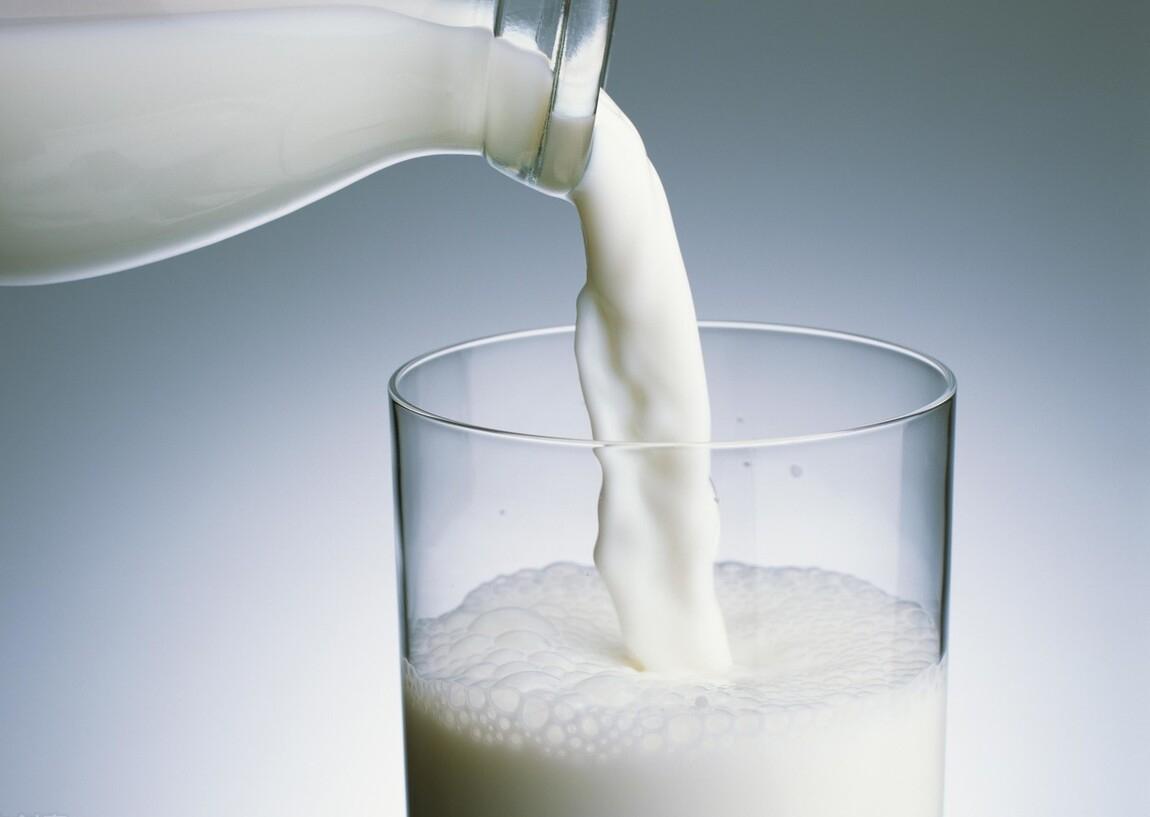 别再给猫咪喂食“这些食物”了，一不小心，命都没了