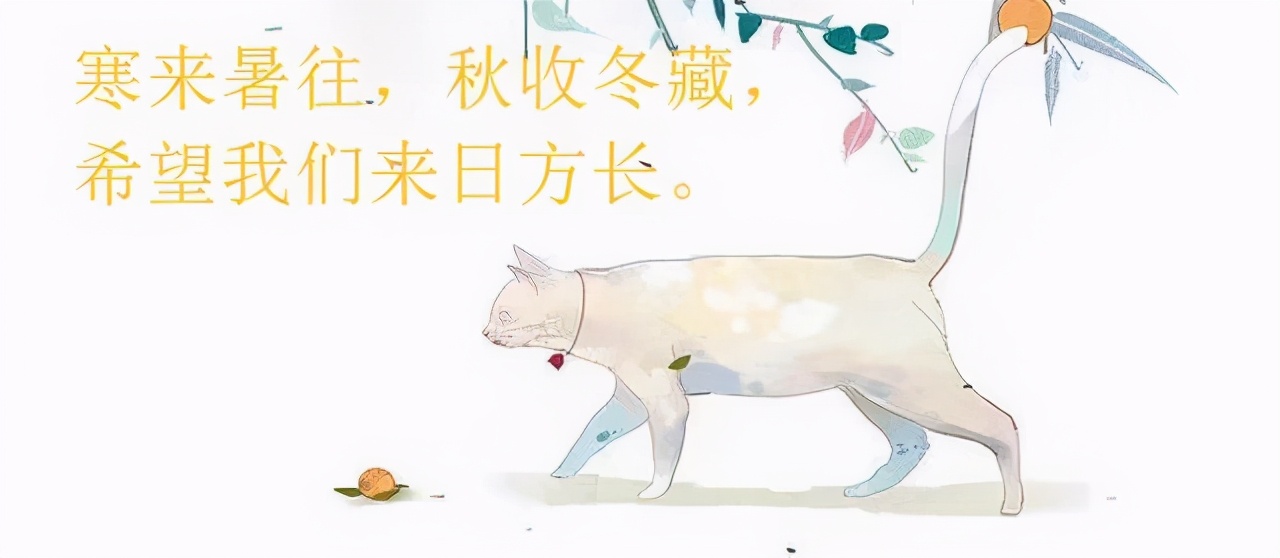 高分新书完结：丁墨《半星》、田园泡《穿成暴君他前妻》笑死我了