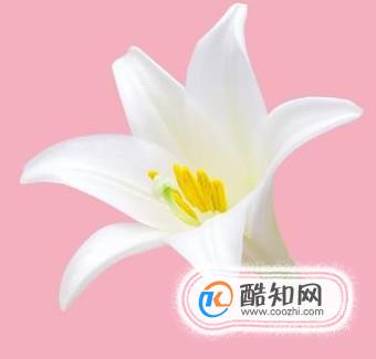 ps手机版基础教程新手入门,有哪些比较好的ps教程