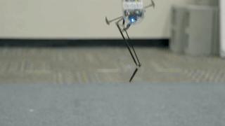 那个UC伯克利弹跳机器人可以蹦到户外玩耍了!还是靠那一条腿