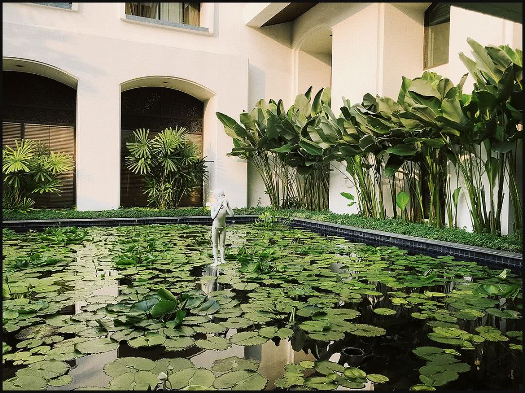 泰国吃喝玩乐全攻略,超全的泰国出行指南出门前必看