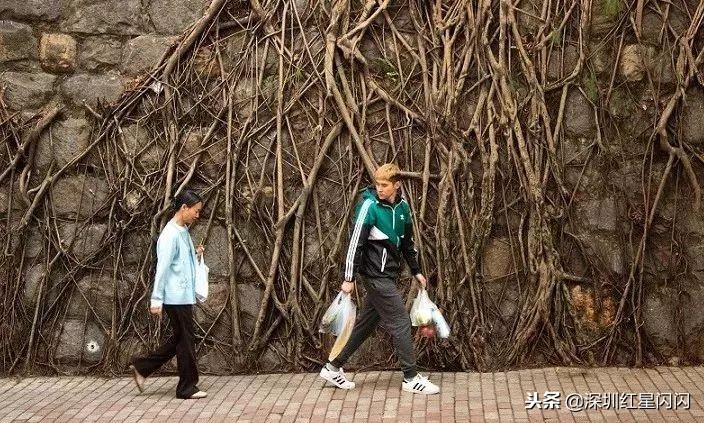 12岁男孩杀母案最终结果,12岁少年杀母事件处理