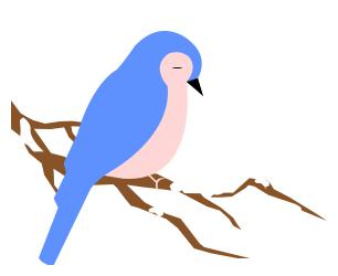 珍稀鸟类现身成都,在双流春游看花