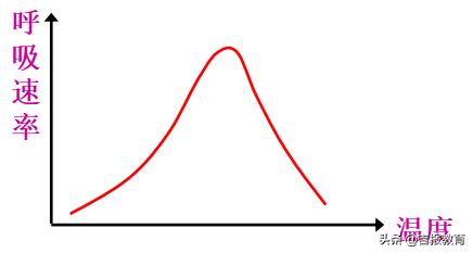 高中生物细胞呼吸作用,高中生物细胞呼吸