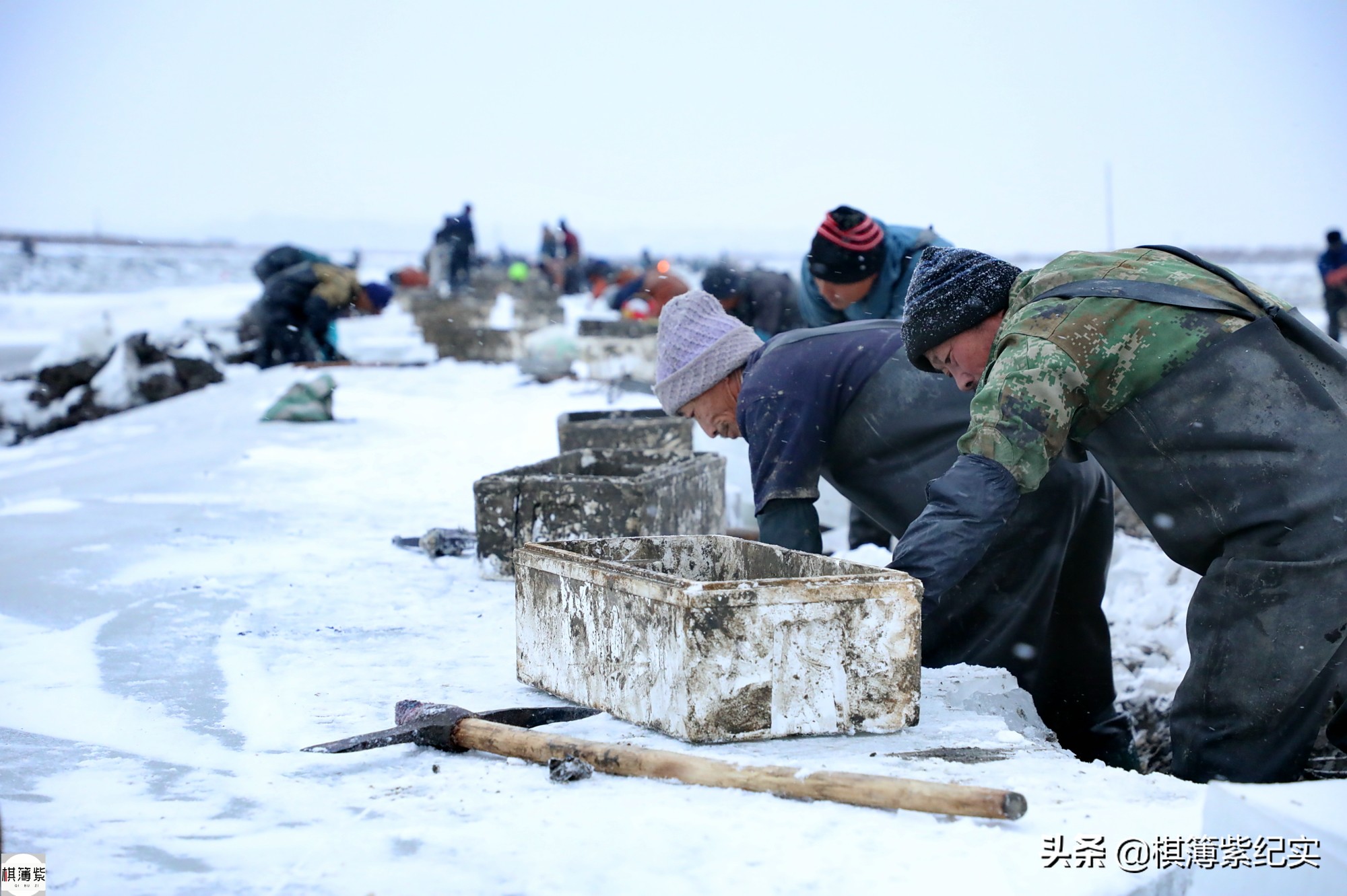 挖竹节蛏挣钱,赶海抓蛏子一天能赚多少钱